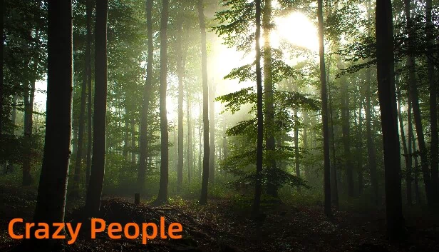 疯狂的人（Crazy People） 游戏封面