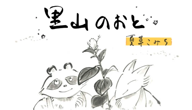 里山之音 夏草小径（里山のおと 夏草こみち） 游戏封面