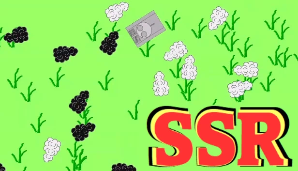 SSR 游戏封面