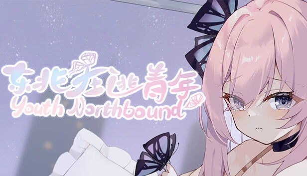 青春向北（youth northbound） 游戏封面