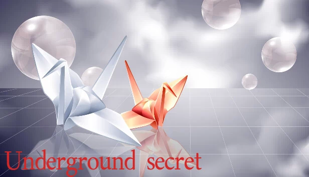 地下秘密（Underground secret） 游戏封面