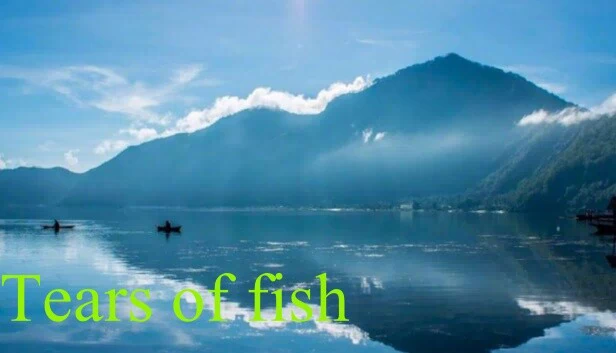 鱼之泪（Tears of fish） 游戏封面