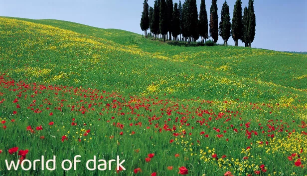 黑暗世界（world of dark） 游戏封面