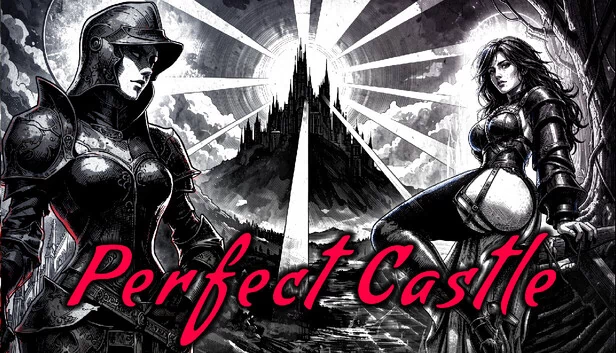 完美城堡（Perfect Castle） 游戏封面