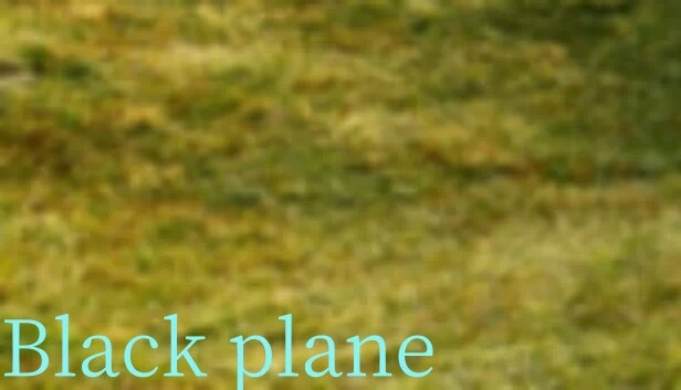 黑色飞机（Black plane） 游戏封面